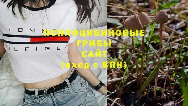 соль курить ск Верхний Тагил