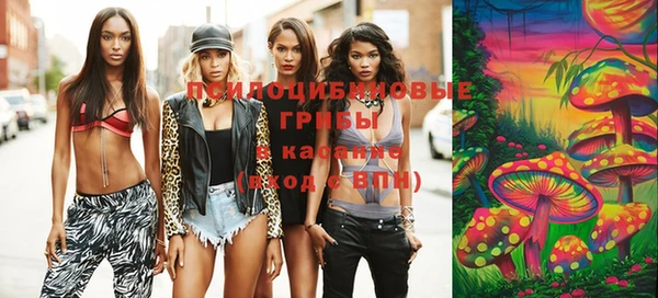 винт Верея