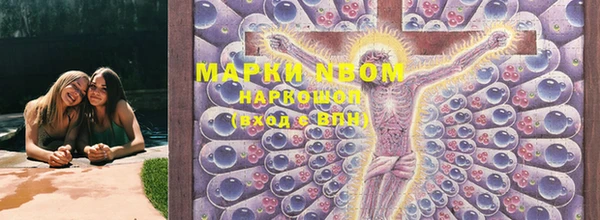 винт Верея