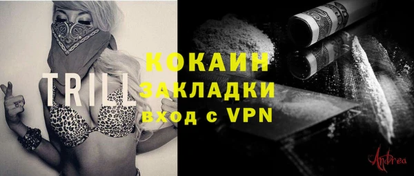 винт Верея