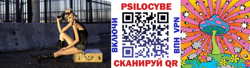 Купить закладки  Кувшиново  Псилоцибиновые грибы Magic Shrooms 